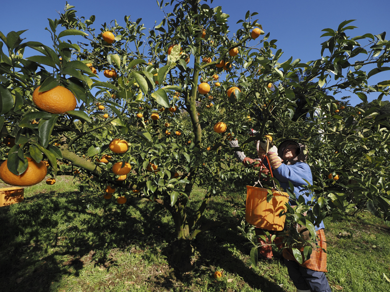 <span class="fnt-85">M.ZUIKO DIGITAL ED 8-25mm F4.0 PRO／8mm（16mm相当）／絞り優先AE（F6.3、1/1,000秒、－0.3EV）／ISO 400／WB：オート</span>