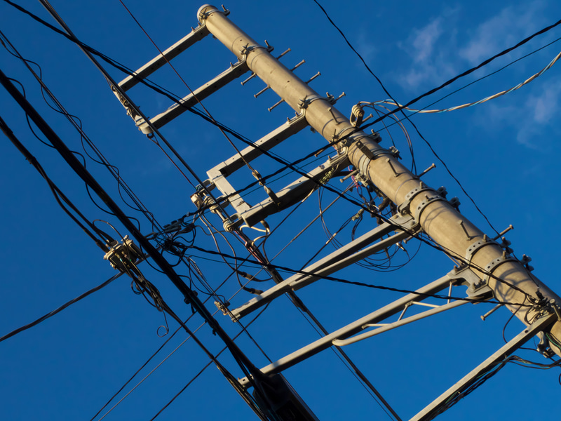 安定の描写というか、安定のパンフォーカスというか。シャープネスも十分だし、Exifをチェックしないと何で撮ったかわからないんじゃないかなあ。<br>Q-S1　02 STANDARD ZOOM（F5.0・1/1,000秒）ISO 400