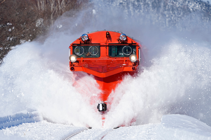 α1　FE 200-600mm F5.6-6.3 G OSS（600mm）F9　1/2,000秒　＋0.7EV　ISO 400　WB:太陽光