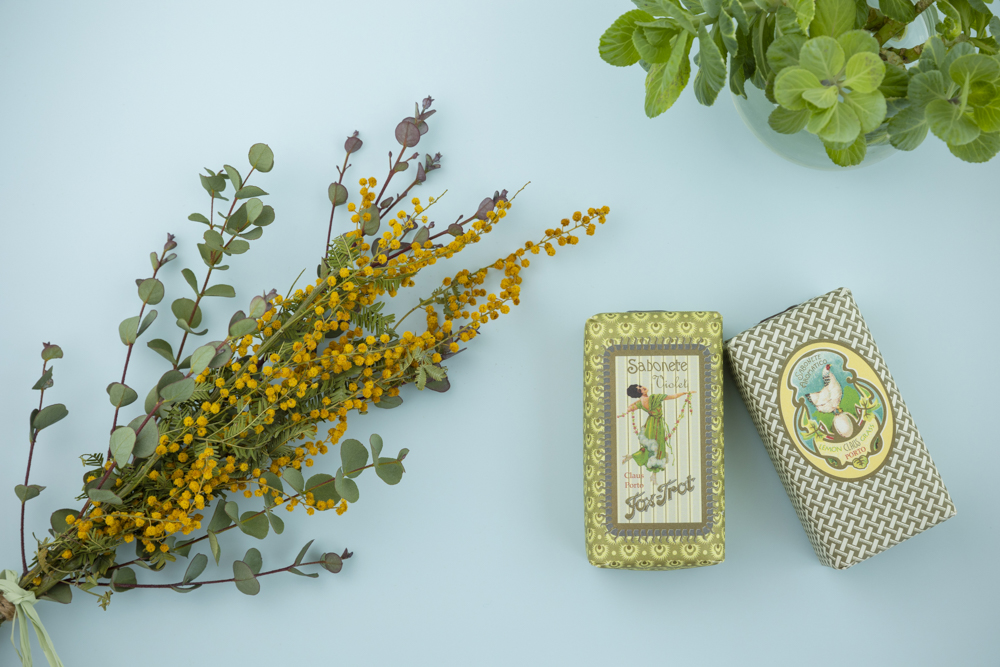 EOS R6 / EF24-70mm F2.8L II USM / F8.0 / 1/30秒 / ISO 400 / A10＋Clicオクタ