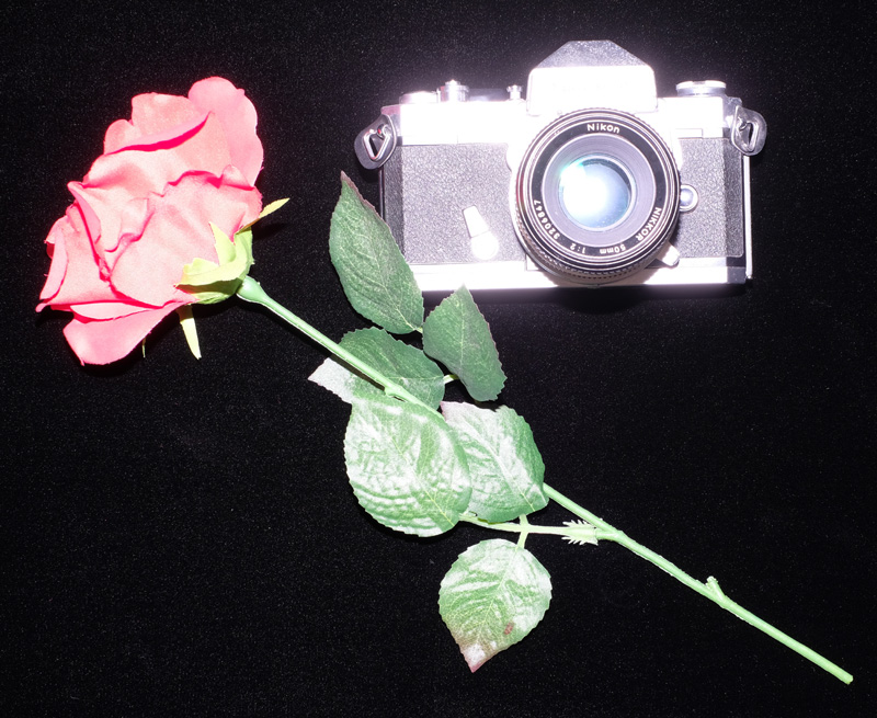 太黒門に被写体を置き、真上からフラッシュ撮影