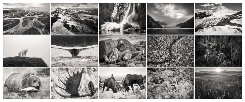 「エプソンフォトグランプリ 2021」グランプリ受賞作品<br>中島たかしさん「天地開闢（てんちかいびゃく）人類がいない地球の姿が見られる場所」（抜粋）