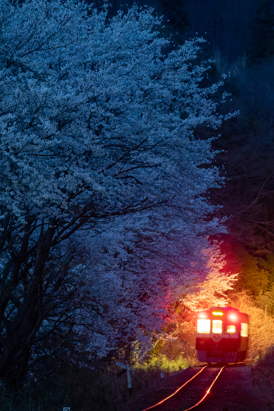 ソニーα9　FE 100-400mm F4.5-5.6 GM OSS（259mm）マニュアル露出（F5.6、0.4秒）ISO 12800　WB:太陽光