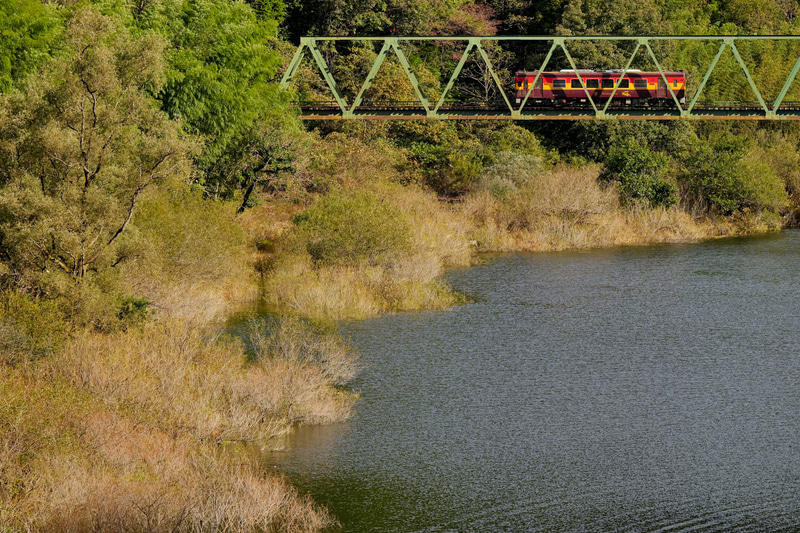 ソニーα1　FE 70-200mm F2.8 GM OSS II（135mm）絞り優先オート（F7.1、1/2,500秒）ISO 800　WB:日陰