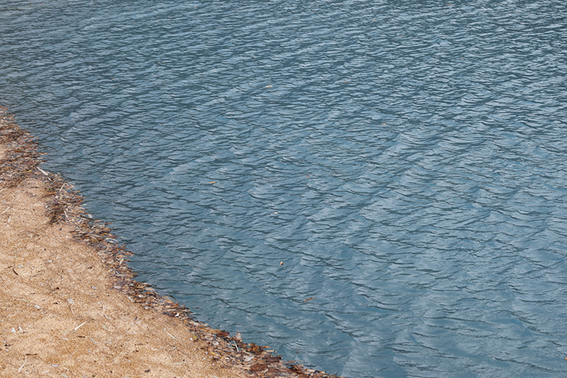 フィルター装着時