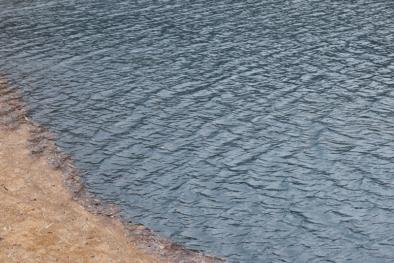 フィルター無し