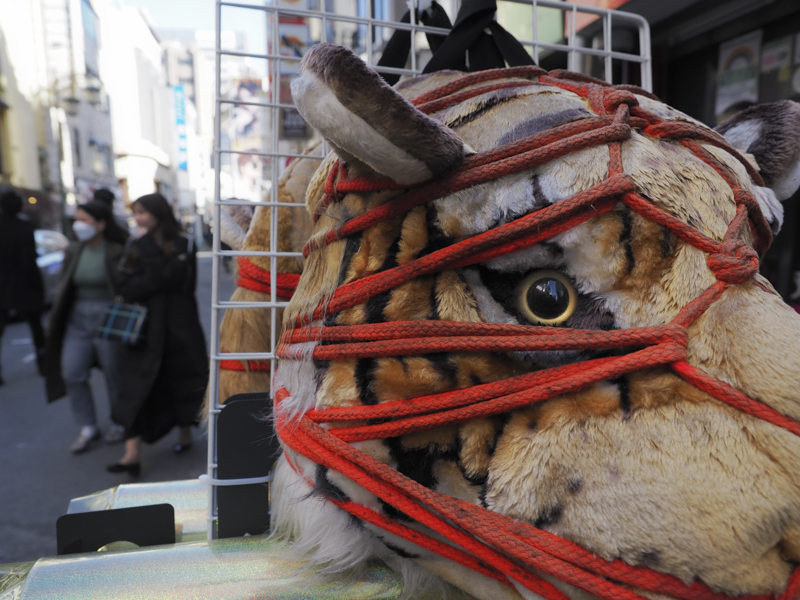 OM SYSTEM OM-1／M.ZUIKO DIGITAL ED 12-40mm F2.8 PRO II／12mm（24mm相当）／プログラムAE（F4、1/200秒、-0.7EV）／ISO 200／WB:オート