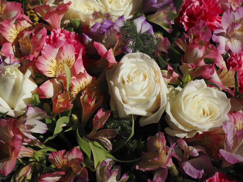 OM SYSTEM OM-1／M.ZUIKO DIGITAL ED 12-40mm F2.8 PRO II／25mm（50mm相当）／プログラムAE（F8、1/500秒、-0.7EV）／ISO 200／WB:オート