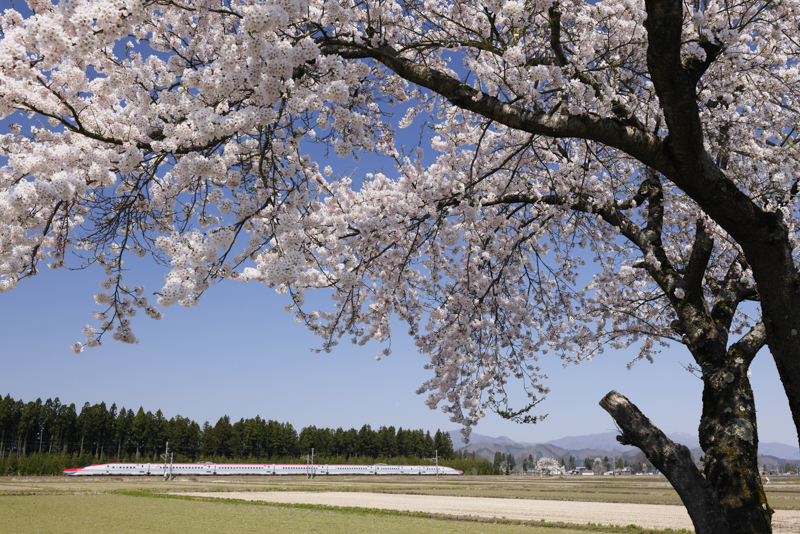 撮影：村上悠太