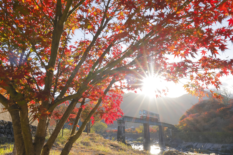 撮影：村上悠太