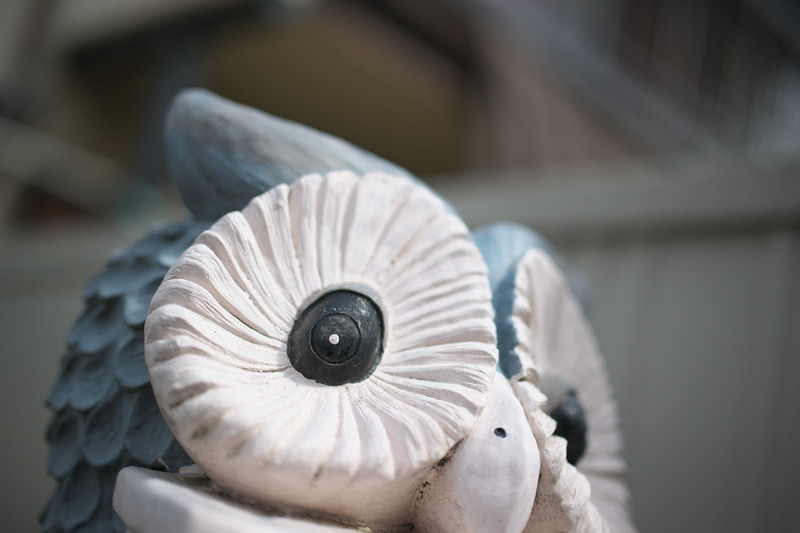 F1.2の標準50mmレンズは、撮影者の見たいところが明確化されます。性能面でも素晴らしいレンズです。ただし絞り開放での撮影が主目的になると、それに見合う被写体を探すようになってしまいます（笑）。<br>Z 9　NIKKOR Z 50mm f/1.2 S（F1.2・1/4,000秒）ISO 64