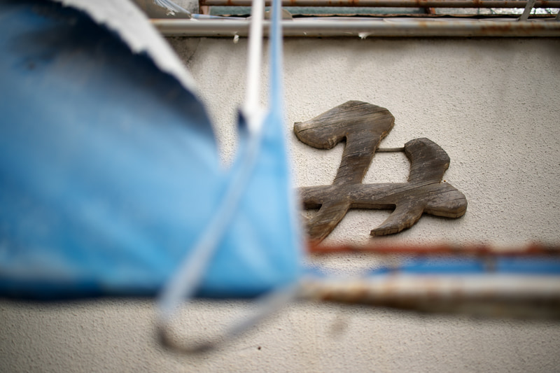 撮影距離は2.5mくらい離れているのですが、F1.2開放ですと、被写体が平板でも合焦位置が明確にわかります。それくらい繊細な描写をするレンズです。<br>Z 9　NIKKOR Z 50mm f/1.2 S（F1.2・1/8,000秒）ISO 64