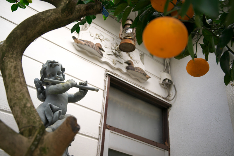 筆者はマイクロフォーサーズとかAPS-Cのフォーマットのカメラをよく使うので、おや、40mmでもこんなに被写界深度は浅いのかと思ってしまいました。再現はとても自然です。<br>Z 9　NIKKOR Z 24-70mm f/4 S（F4・1/1,000秒）ISO 400