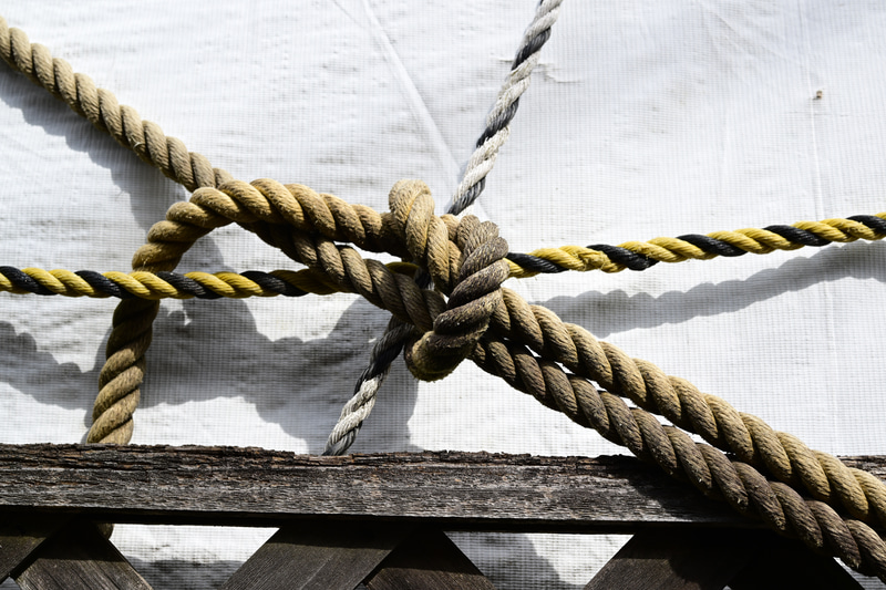 本当はスナップ派ですから、絞りはキリキリと絞り込みたい方ですが、あまり絞るとレンズ性能が分からないとか突っ込まれるのでやらないのですが、やるときはやります。<br>Z 9　NIKKOR Z MC 50mm f/2.8（F11・1/160秒）ISO 100