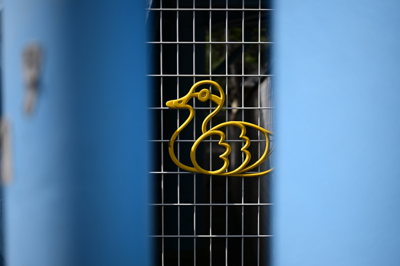 実直な性格の人という描写をしますねえ。前ボケもクセがなくて良い感じですし、歪曲もきっちり補正されています。<br>Z 9　NIKKOR Z MC 50mm f/2.8（F3・1/6,400秒）ISO 200