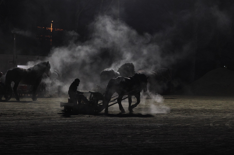 暗いうちから始まるばんえい競馬の朝調教