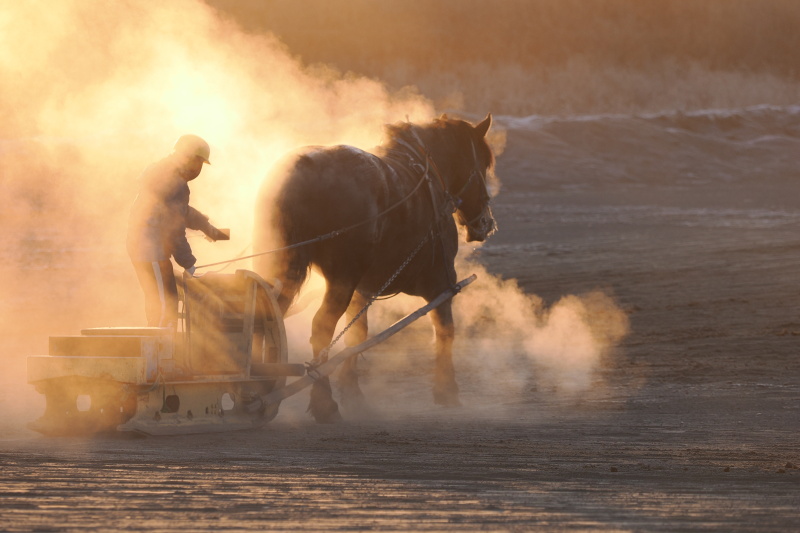 7時をまわると朝日が差し込んできた