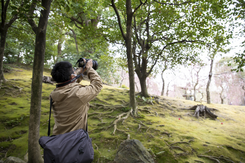 EOS R5／31mm／マニュアル露出（F8、1/30秒）／ISO 100／WB:オート