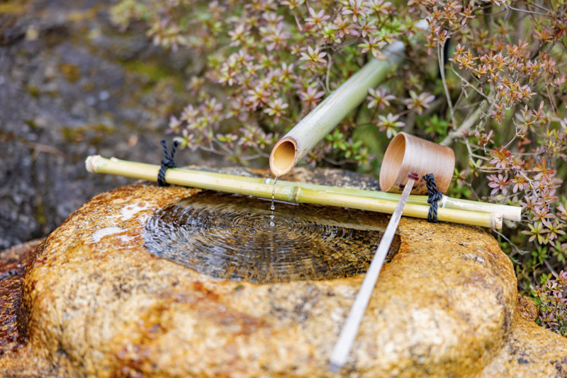 EOS R5／70mm／マニュアル露出（F2、1/1,000秒）／ISO 200／WB:オート