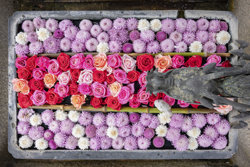 EOS R5／34mm／マニュアル露出（F4.0、1/125秒）／ISO 200／WB:オート