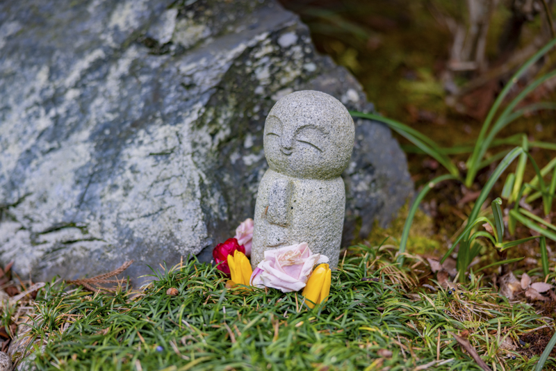 EOS R5／66mm／マニュアル露出（F2、1/320秒）／ISO 100／WB:オート