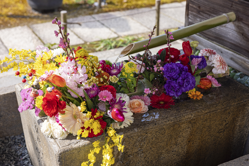 EOS R5／62mm／マニュアル露出（F4、1/320秒）／ISO 100／WB:オート