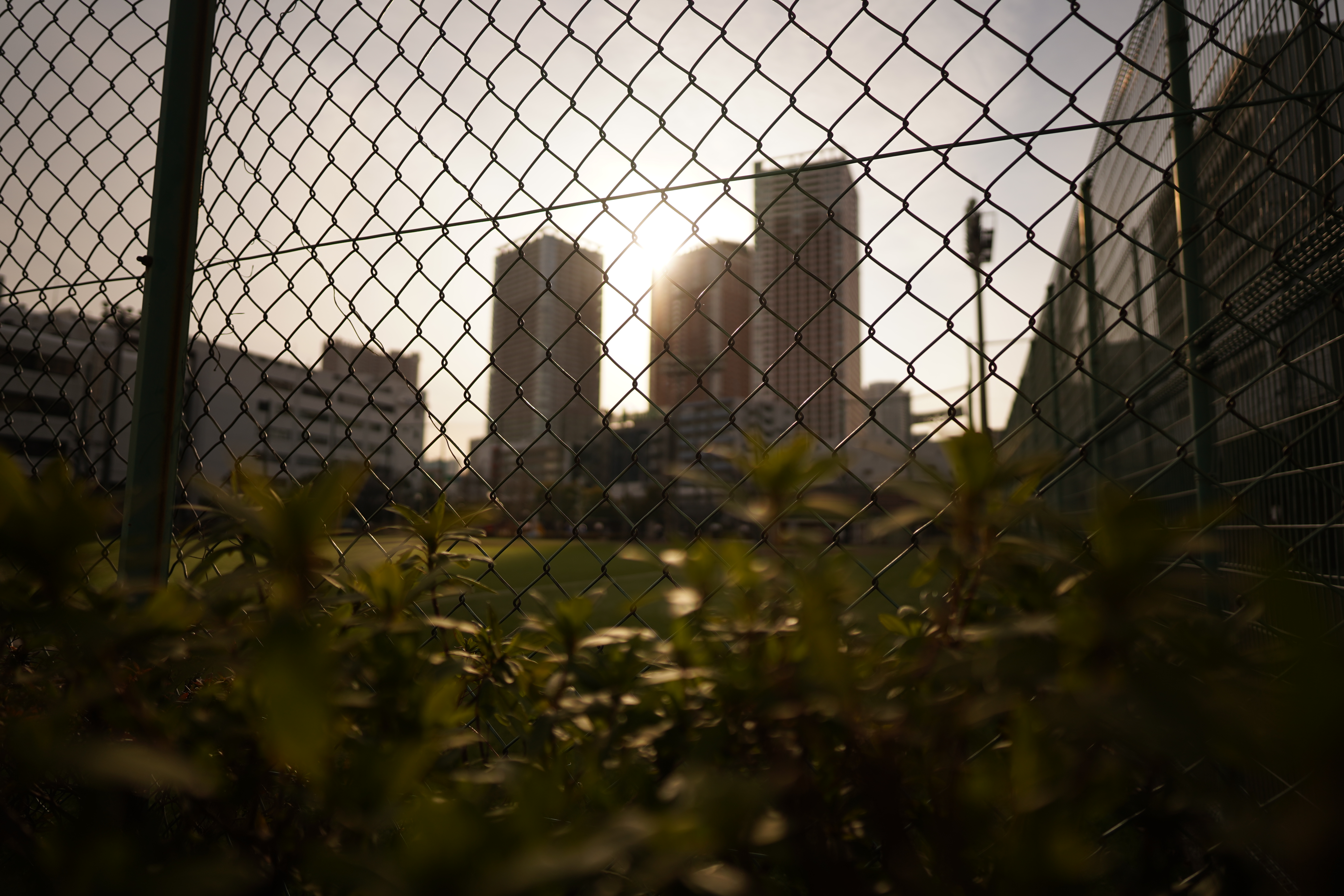 α7 III / マニュアル（F2・1/5,000秒）/ ISO 100