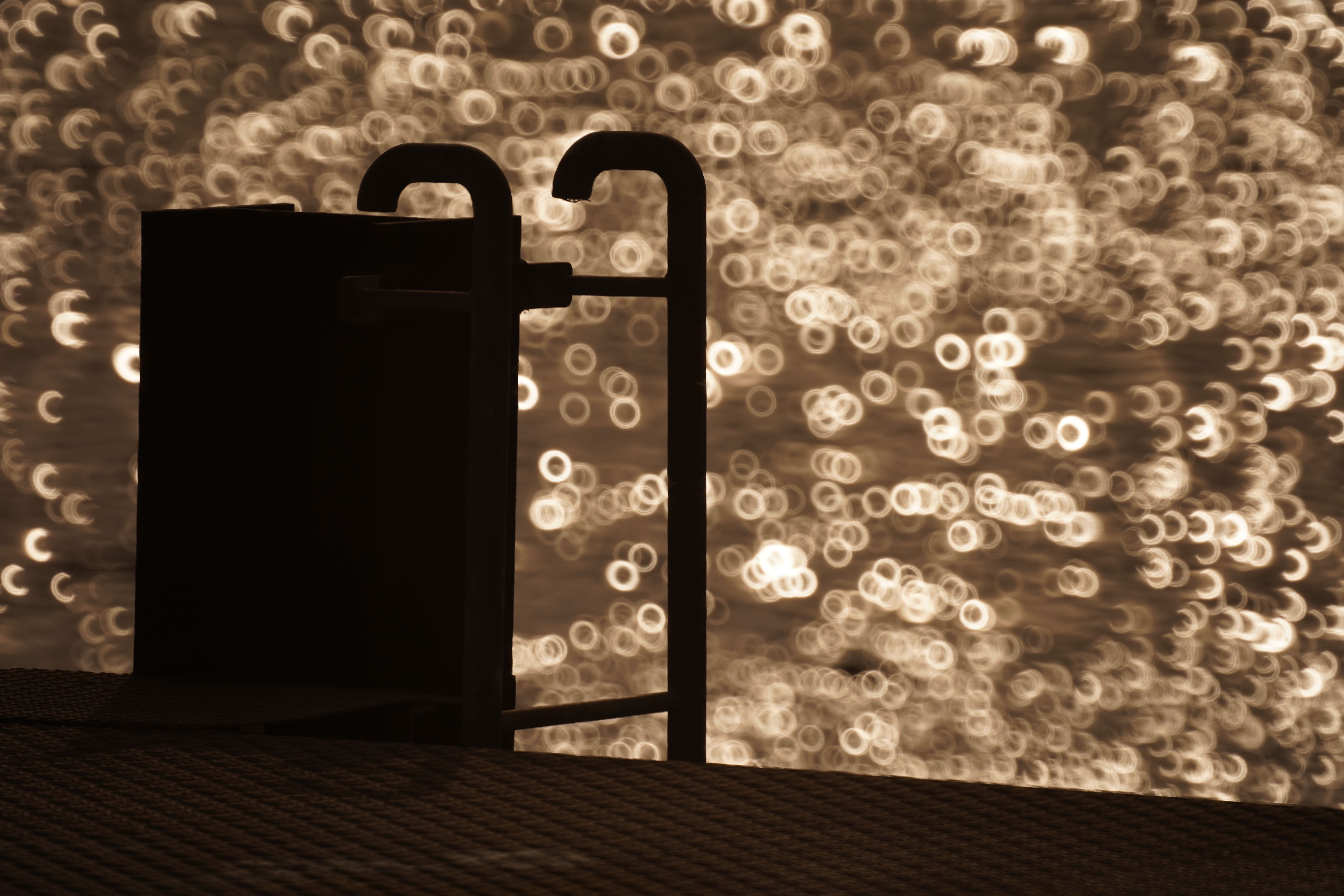 α7 III / マニュアル（F8・1/1,000秒）/ ISO 100