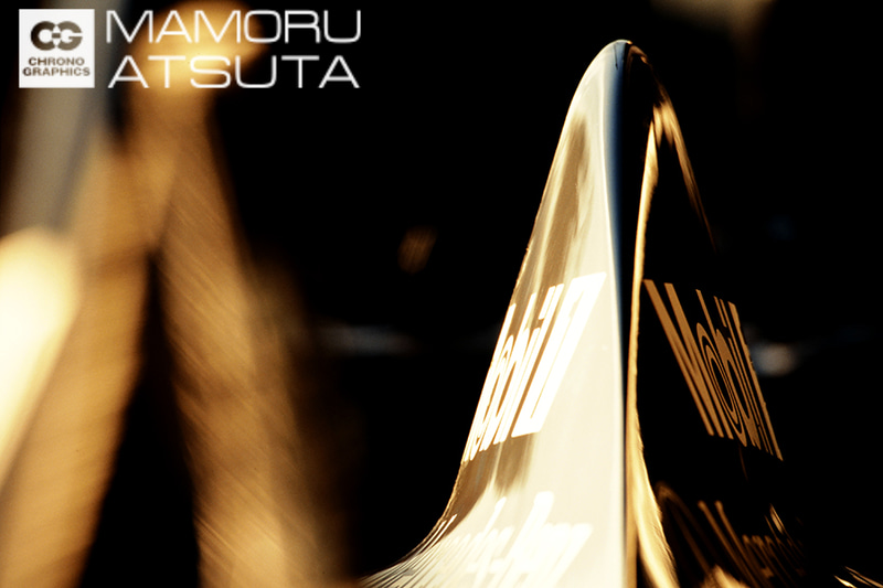 EOS-1N HS　EF200mm F1.8L USM+EF1.4X（F5.6・1/500秒）KR