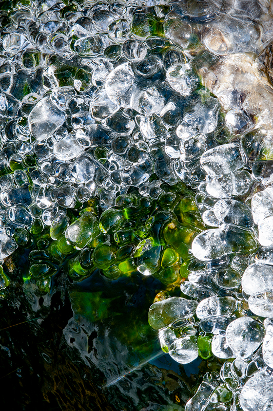 （c） Jiro Fukasawa