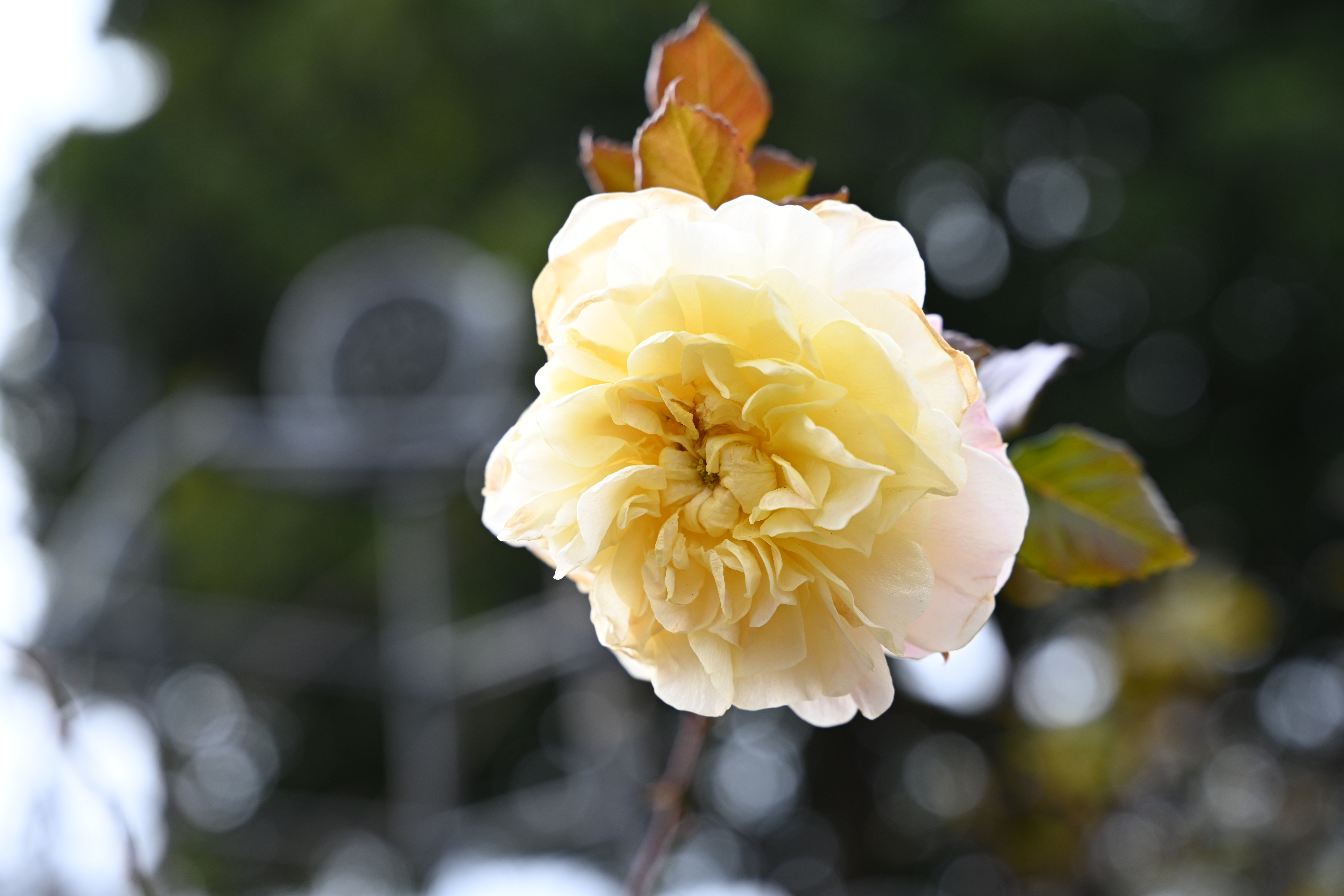 28-75mm f/2.8（F5.6）