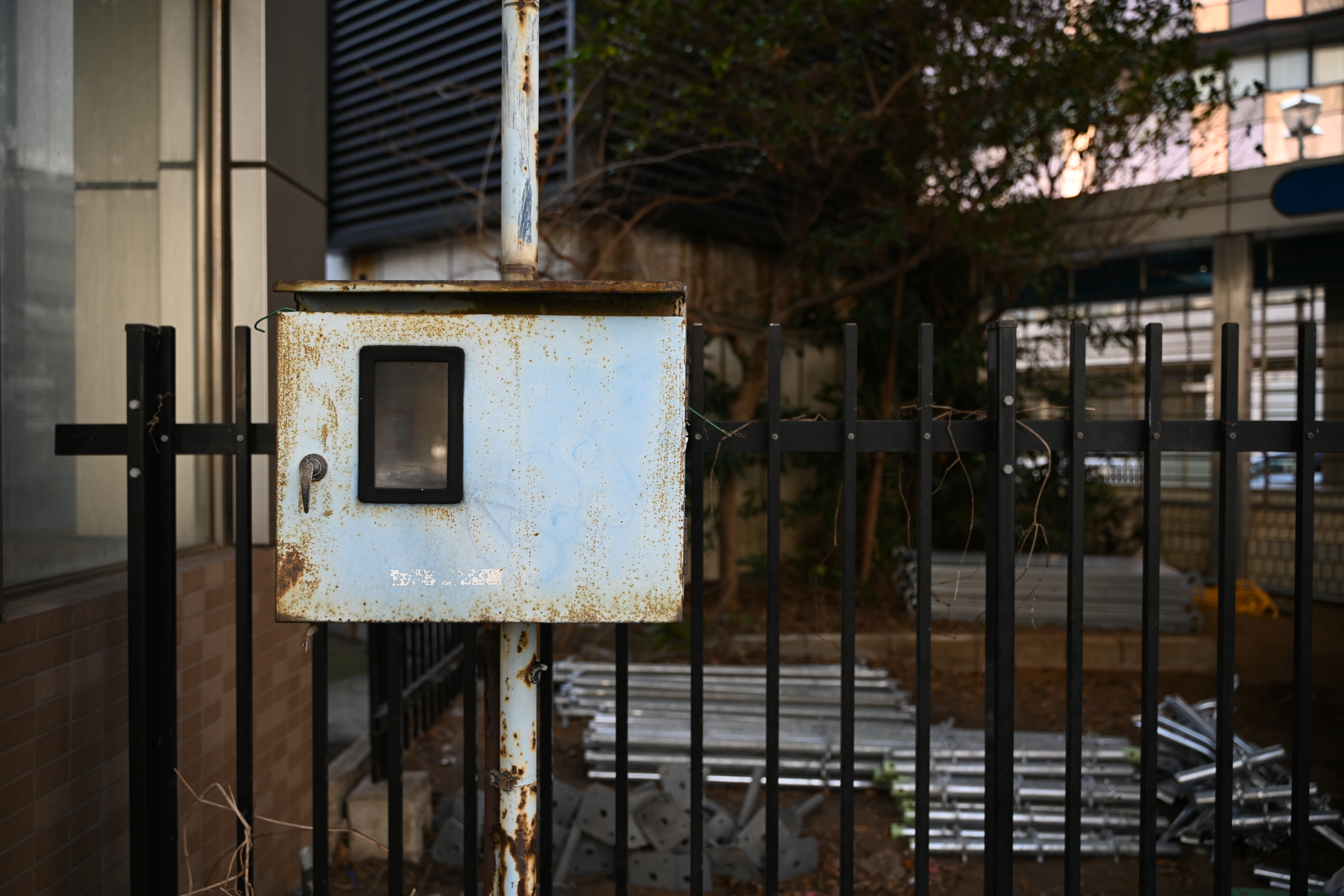 件のタムロンレンズっぽいな、という描写のシーンもあった。周辺部右上の辺りのボケ具合などは「ぽさ」がある。ただ、そういう視線で見ているから、そう見えてしまうのかも。<br>Z 7II　NIKKOR Z 28-75mm f/2.8（F2.8・1/400秒）ISO 200　28mm