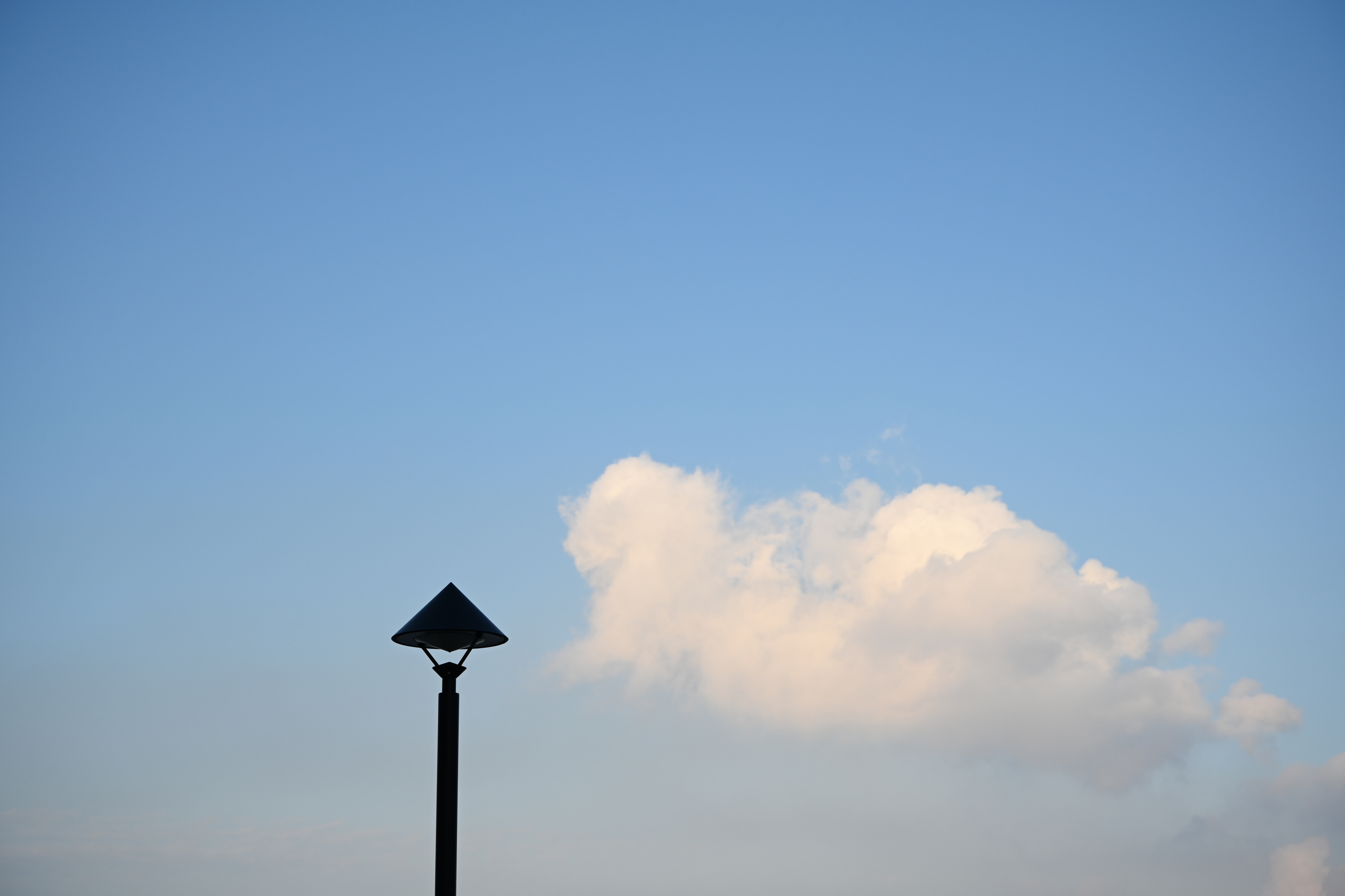 Z 7II　NIKKOR Z 28-75mm f/2.8（F4・1/2,500秒）ISO 320　56mm