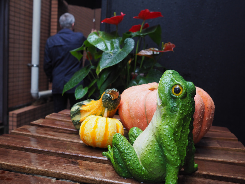悪天候でも面白いものを見つければ傘を差して片手で撮影します。本当は反則ですが手ブレ補正を信頼しております。PEN-Fは防塵防滴じゃないと思います。一応濡れないように気を使っております。<br>PEN-F　M.ZUIKO DIGITAL 17mm F1.8（F5・1/320秒）ISO 800
