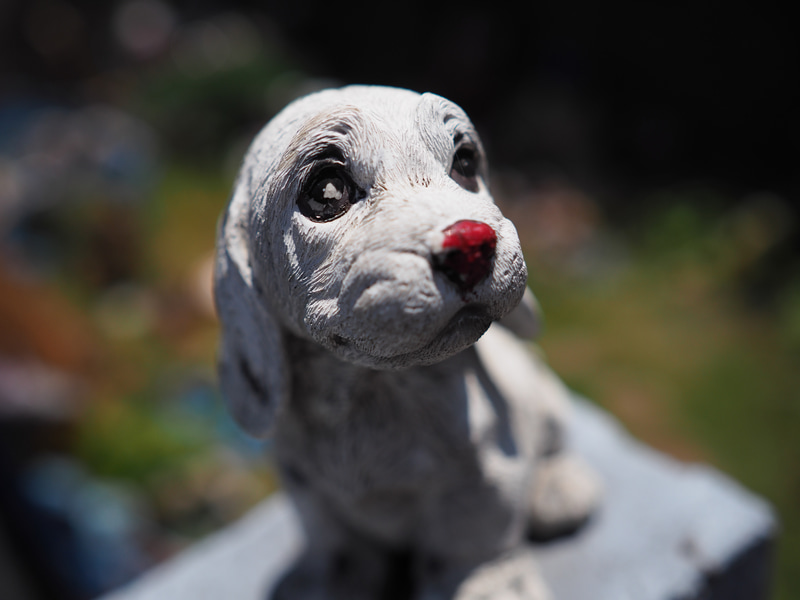 マイクロフォーサーズ機の交換レンズはいずれも通常レンズでもマクロレンズキラーみたいなところありますよね。実焦点距離が短いので近接撮影得意です。レンジファインダーカメラみたいなフォルムのカメラでこうした至近距離撮影ができるのは今でも不思議に思うことがあります。<br>PEN-F　M.ZUIKO DIGITAL ED 17mm F1.2 PRO（F1.6・1/16,000秒）ISO 200