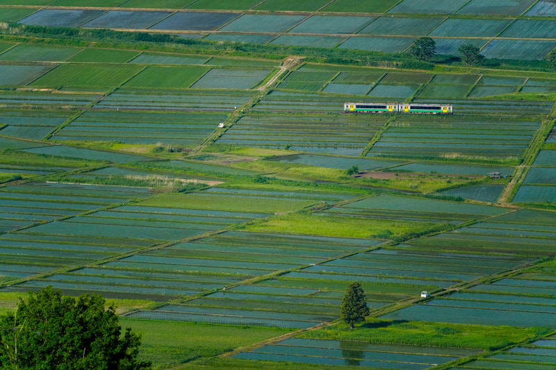 ソニーα1　FE 100-400mm F4.5-5.6 GM OSS （400mm） 絞り優先オート （F6.3・1/2,500秒）ISO 800　WB:太陽光