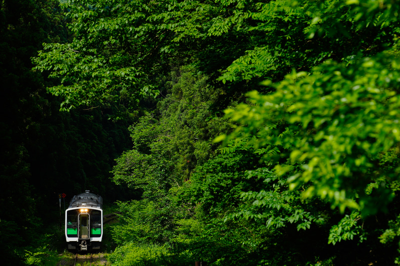 ソニーα1　FE 70-200mm F2.8 GM OSS （198mm） マニュアル露出 （F8・1/250秒）ISO 200　WB:太陽光