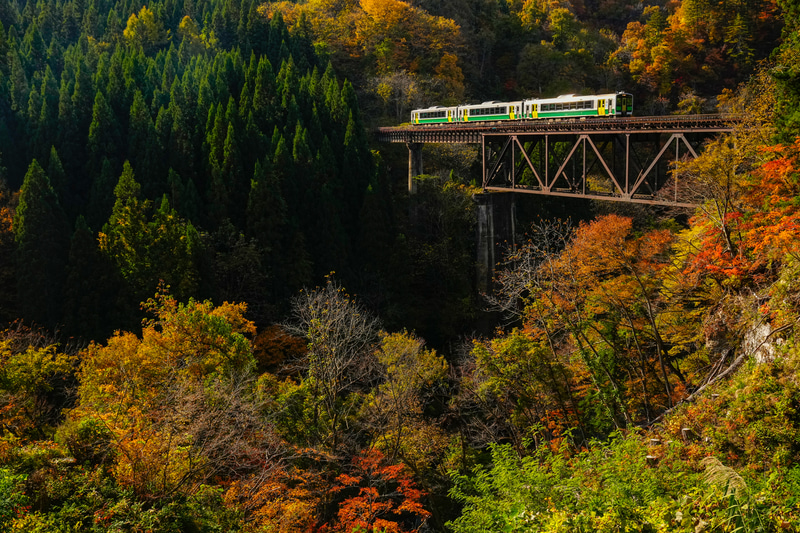 ソニーα1　FE 24-70mm F2.8 GM （32mm） 絞り優先オート （F7.1・1/500秒）ISO 800　WB:曇天