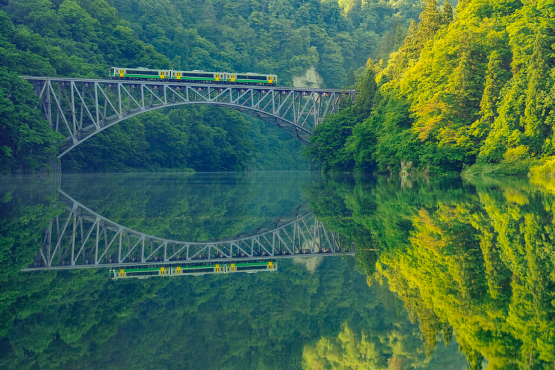 ソニーα1　FE 70-200mm F2.8 GM OSS （125mm） マニュアル露出 （F4・1/500秒）ISO 800　WB:太陽光