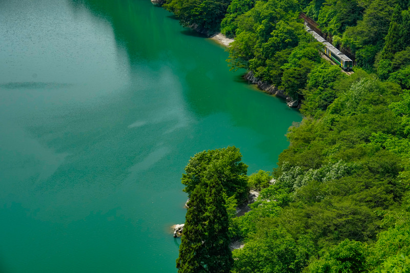 ソニーα1　FE 70-200mm F2.8 GM OSS （93mm） マニュアル露出 （F8・1/800秒）ISO 800　WB:太陽光