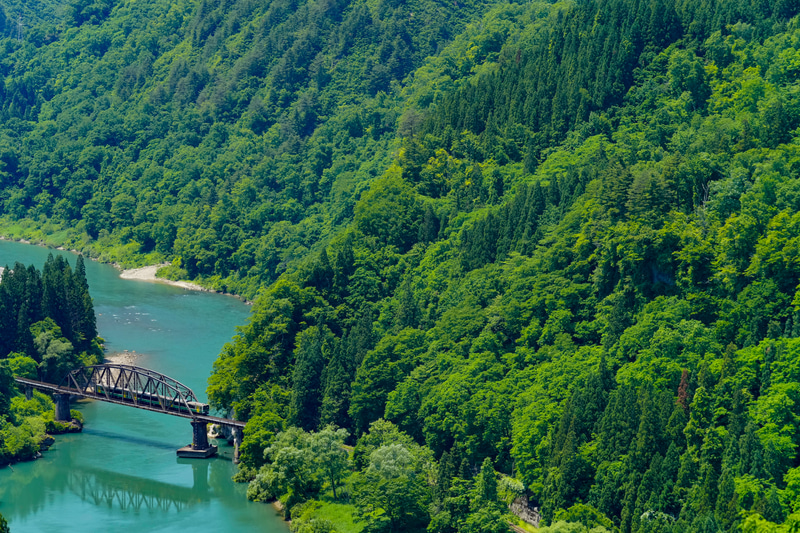 会津水沼駅と会津中川駅の間にある「第4只見川橋りょう」を大俯瞰するポイント。鉄橋のトラスを抜けた瞬間を狙うのがコツ。列車の位置が真ん中にこないようにすると、意外に構図づくりが難しいポイントでもあります。また、撮影地がかなりの山奥にあり、たびたびツキノワグマが目撃されていますので、十分に気をつけてください。撮影地へは舗装道路から農道に入り、行き止まり付近から左方向にあるけもの道で森に入りますが、地主さんの意向で農道への関係者以外の車の進入が禁止されていますので、徒歩で向かいましょう。<br>ソニーα1　FE 70-200mm F2.8 GM OSS （115mm） 絞り優先オート （F8・1/500秒）ISO 800　WB:太陽光　<a href="https://goo.gl/maps/84WtjyVE1zjS26M26" class="n" target="_blank">[Google Maps]</a>