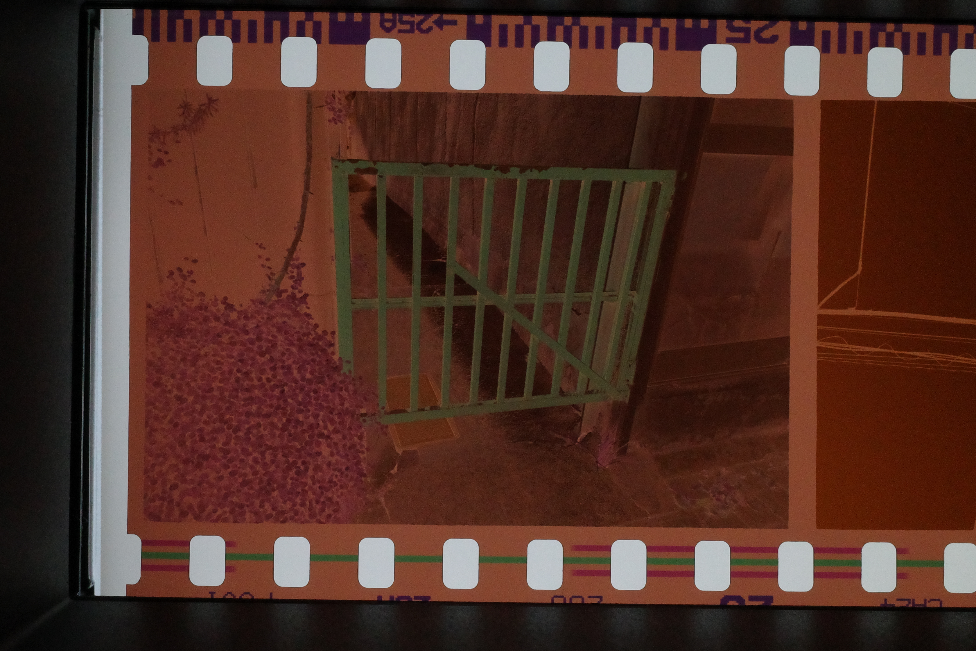 DigitaLIZA+に35mmのカラーネガフィルムをセットして、デジタルカメラ「RICOH GR III」で撮影