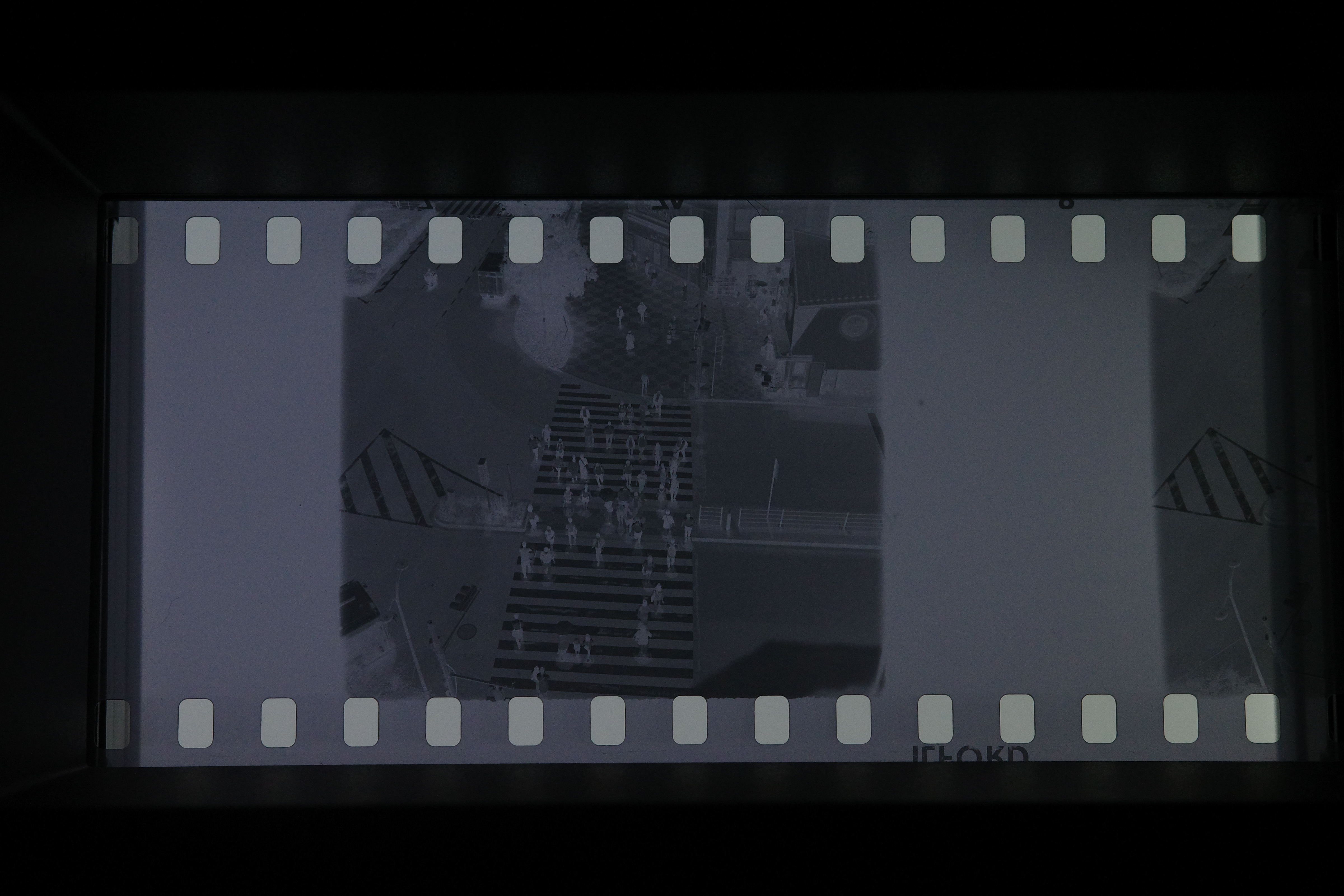 真四角フォーマットで、パーフォレーションの部分まで写し込めるローライフレックスSL26のネガも、うまくスキャンできました。（筆者は126カートリッジに長巻フィルムを詰めて使用しています）