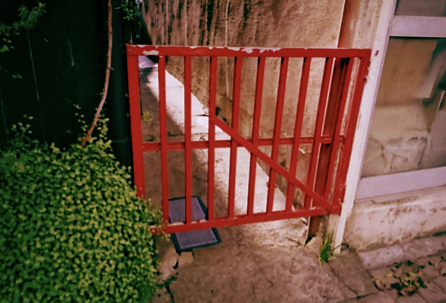 こちらは同じコマをスマートフォン（iPhone SE）で撮影し、同じアプリでネガポジ反転&色調整したものです。色味の違いはアプリ上の設定によるもので、デジタル化に使ったカメラによる複写画質の違いがポイントです