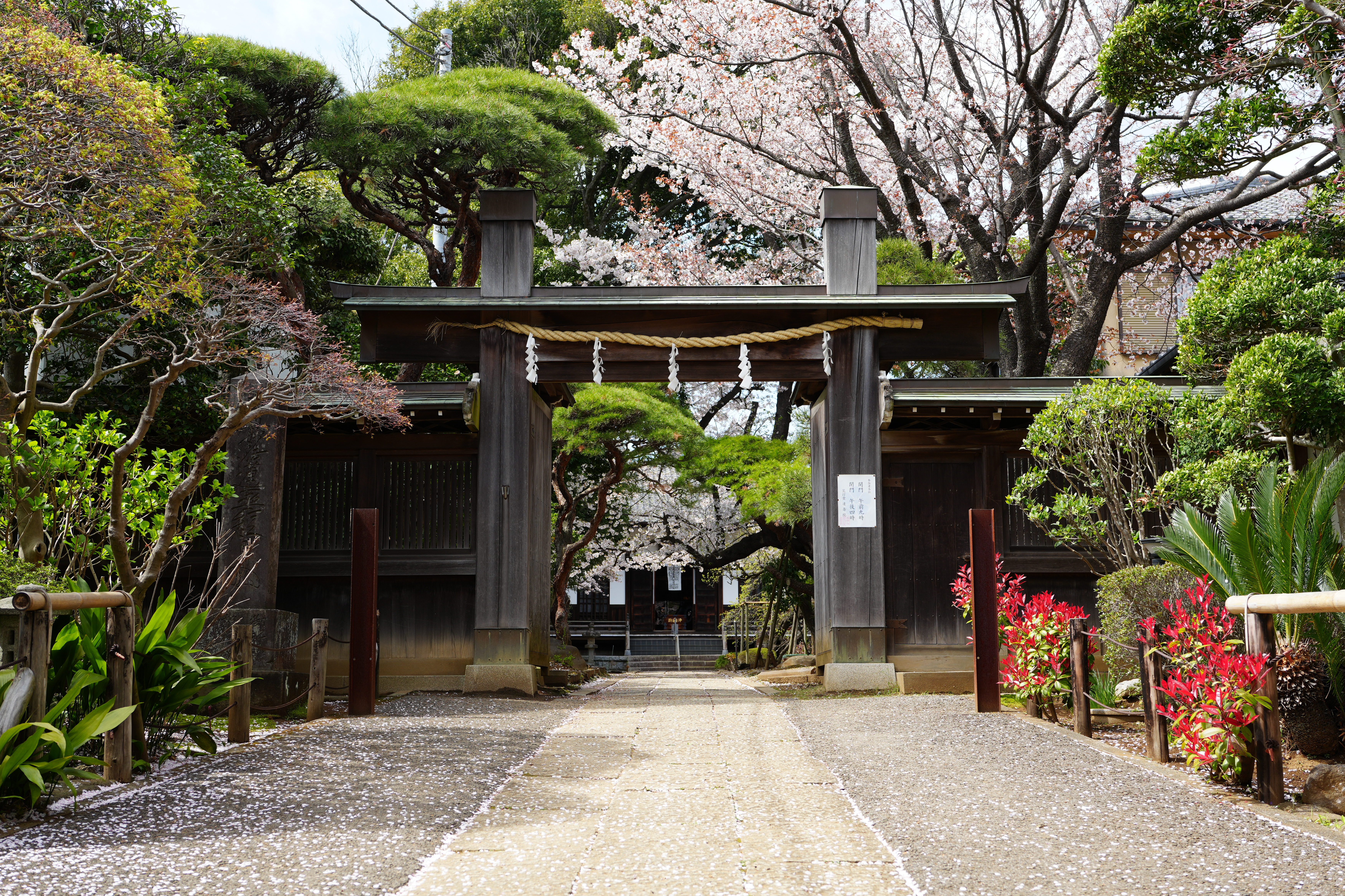 ソニーα7 IV　FE 40mm F2.5 G（F5.6・1/160秒）ISO 100