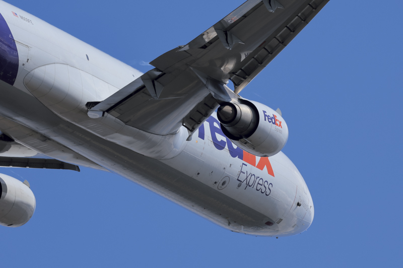 撮影：チャーリィ古庄<br>EOS R3／500mm／シャッター優先AE（F7.1、1/1,250秒、±0EV）／ISO 200／WB：オート