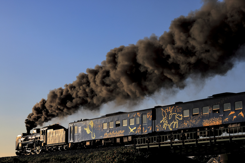 撮影：長根広和<br> EOS R5／135mm／マニュアル露出（F11、1/1,250秒）／ISO 400／WB：太陽光