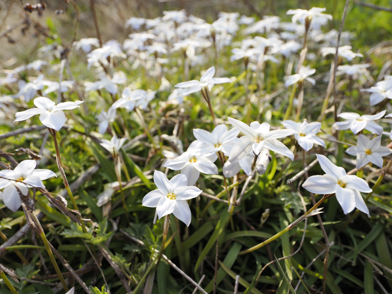OM SYSTEM OM-1／M.ZUIKO DIGITAL ED 8-25mm F4.0 PRO／11mm（22mm相当）／絞り優先AE（F4、1/500秒、＋0.3EV）／ISO 200／WB：オート