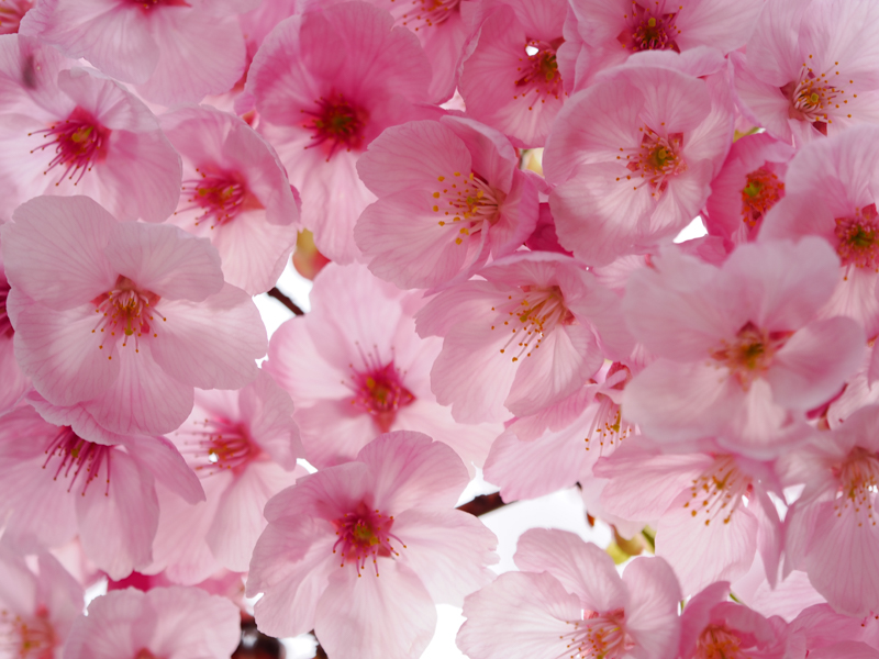 OM SYSTEM OM-1／M.ZUIKO DIGITAL ED 40-150mm F2.8 PRO／150mm（300mm相当）／絞り優先AE（F2.8、1/125秒、＋1.0EV）／ISO 200／WB：オート