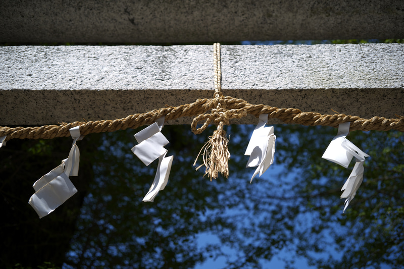 ハイエストライトからシャドーまで良い感じで階調が繋がります。開放絞りですが、合焦点は素晴らしくシャープに描写されます。周辺光量落ちが画面を締めてくれました。<br>M10-P　HELIAR 40mm F2.8 Aspherical（F2.8・1/1,000秒）ISO 100